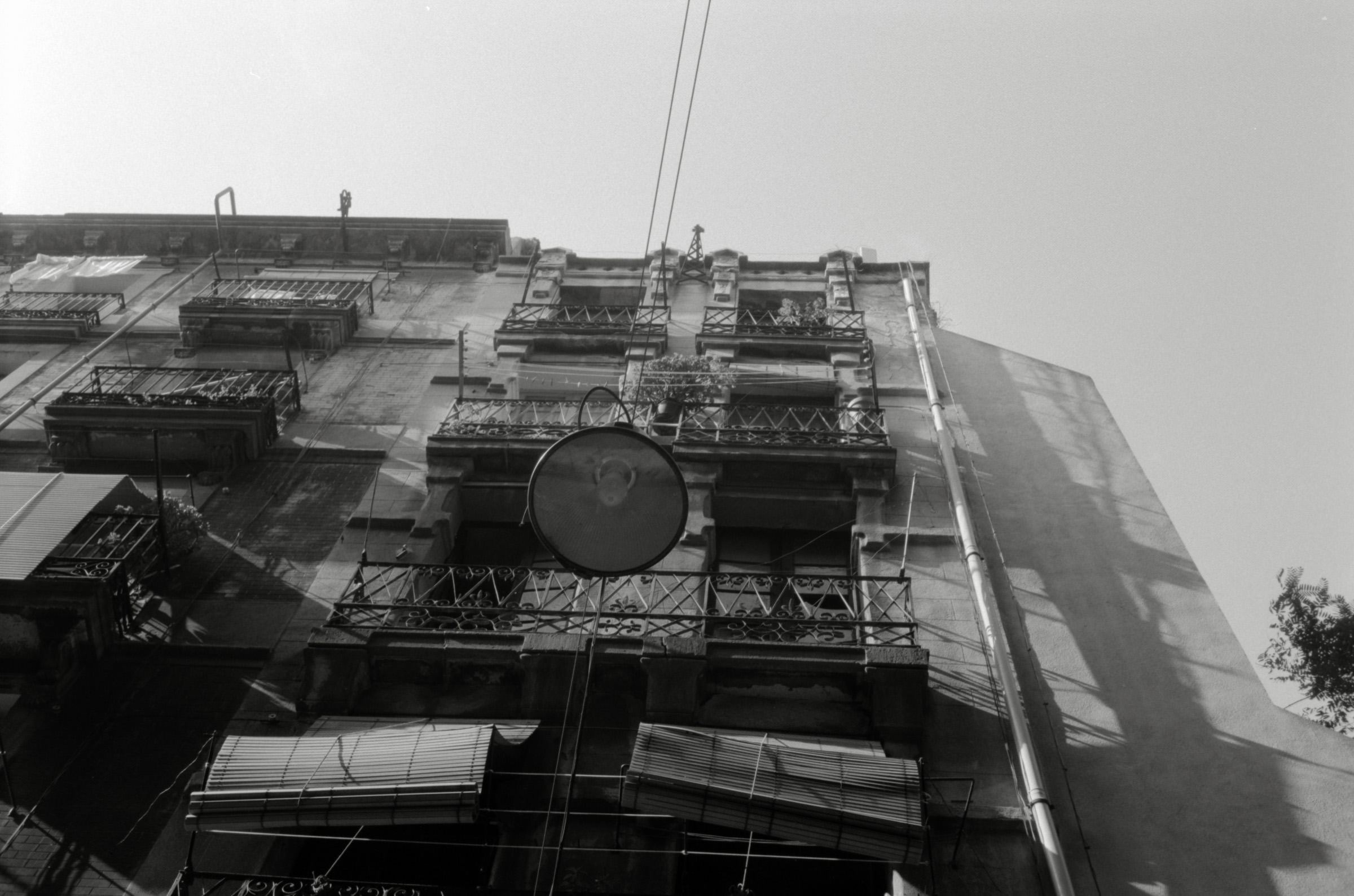 AHP F1996 03 001 sc240818 img28 NLP